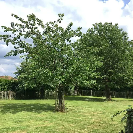 Neerhof